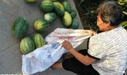 伊犁吃瓜最新事件爆料,揭秘背后惊人真相！